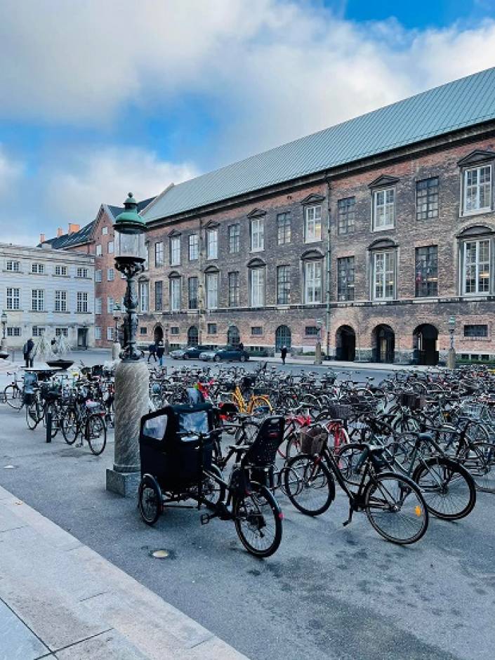 Recent, Copenhaga ne-a găzduit cu căldură, la propriu și la figurat, în cadrul Conferinței Connecting Municipalities in Digital Era.