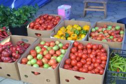Sărbătoarea toamnei la Cahul: „Ziua Roadei” a reunit producători locali și meșteri populari în Piața Horelor