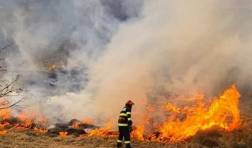 Apel către cetățenii din Cahul: Interzicerea arderii vegetației și resturilor vegetale