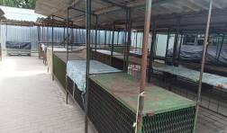 Spațiu Nou Amenajat pentru Producători în Piața Second Hand din Cahul